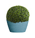 Кашпо CONCRETIKA BOWL EROSIA BLUE D65H36 заказать и купить с доставкой из магазина производителя Конкретика по цене 19 130 руб.