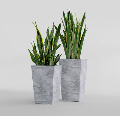 Кашпо CONCRETIKA CONIC CONCRETE GREY LIGHT 30x30x50 заказать и купить Кашпо CONCRETIKA CONIC CONCRETE GREY LIGHT 30x30x50 заказать и купить по цене 15 970 руб ниже рынка от производителя с доставкой.