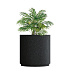 Кашпо CONCRETIKA CYLINDER XL EGG BLACK D120H120 заказать и купить с доставкой из магазина производителя Конкретика по цене 134 190 руб.
