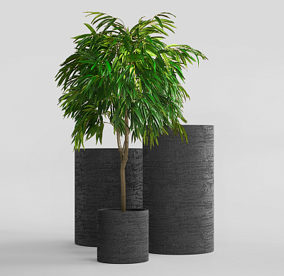 Кашпо CONCRETIKA CYLINDER EROSIA BLACK D60H90 заказать и купить Кашпо CONCRETIKA CYLINDER EROSIA BLACK D60H90 заказать и купить по цене 60 570 руб ниже рынка от производителя с доставкой.