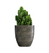 Кашпо CONCRETIKA VASE 3 BREZENT GREY D50H55 заказать и купить с доставкой из магазина производителя Конкретика по цене 23 950 руб.