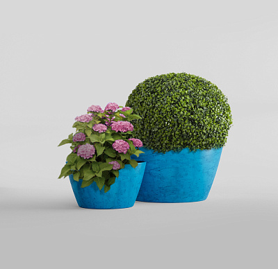 Кашпо CONCRETIKA BOWL COBALT BLUE D65H36 заказать и купить Кашпо CONCRETIKA BOWL COBALT BLUE D65H36 заказать и купить по цене 18 800 руб ниже рынка от производителя с доставкой.