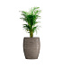 Кашпо CONCRETIKA OVAL SMOKEY GREY D60H88 заказать и купить с доставкой из магазина производителя Конкретика по цене 50 560 руб.