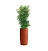Кашпо CONCRETIKA CIGAR TERRACOTTA D37H78 заказать и купить с доставкой из магазина производителя Конкретика по цене 21 730 руб.