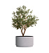 Кашпо CONCRETIKA CYLINDER XL EROSIA WHITE D70H45 заказать и купить с доставкой из магазина производителя Конкретика по цене 35 710 руб.