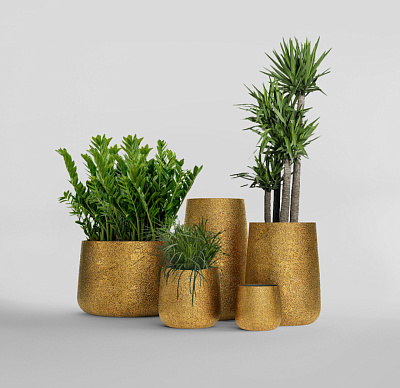 Кашпо CONCRETIKA CONE RICH GOLD D38H60 заказать и купить Кашпо CONCRETIKA CONE RICH GOLD D38H60 заказать и купить по цене 24 240 руб ниже рынка от производителя с доставкой.
