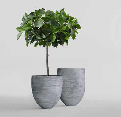 Кашпо CONCRETIKA BARREL CONCRETE GREY LIGHT D41H60 заказать и купить Кашпо CONCRETIKA BARREL CONCRETE GREY LIGHT D41H60 заказать и купить по цене 22 620 руб ниже рынка от производителя с доставкой.