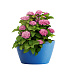 Кашпо CONCRETIKA BOWL DARK BLUE D52H29 заказать и купить с доставкой из магазина производителя Конкретика по цене 11 090 руб.