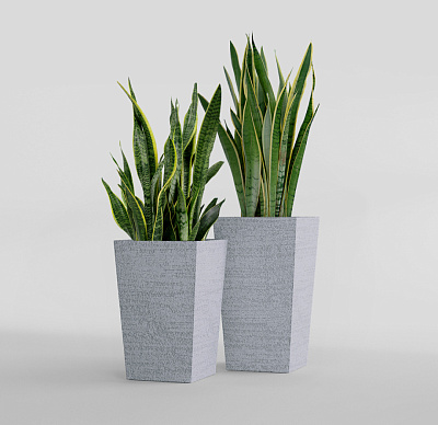 Кашпо CONCRETIKA CONIC EROSIA WHITE 40x40x70 заказать и купить Кашпо CONCRETIKA CONIC EROSIA WHITE 40x40x70 заказать и купить по цене 28 060 руб ниже рынка от производителя с доставкой.