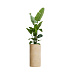 Кашпо CONCRETIKA CYLINDER LEMON D40H80 заказать и купить с доставкой из магазина производителя Конкретика по цене 25 940 руб.
