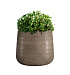Кашпо CONCRETIKA CONE SMOKEY GREY D32H36 заказать и купить с доставкой из магазина производителя Конкретика по цене 12 240 руб.