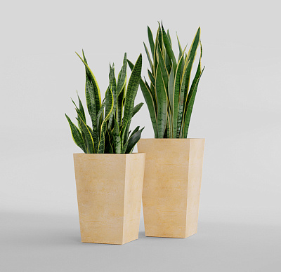 Кашпо CONCRETIKA CONIC LEMON 40x40x70 заказать и купить Кашпо CONCRETIKA CONIC LEMON 40x40x70 заказать и купить по цене 27 570 руб ниже рынка от производителя с доставкой.