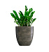 Кашпо CONCRETIKA VASE 3 BREZENT GREY D60H65 заказать и купить с доставкой из магазина производителя Конкретика по цене 40 880 руб.