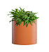 Кашпо CONCRETIKA CYLINDER CARROT D25H25 заказать и купить с доставкой из магазина производителя Конкретика по цене 5 540 руб.