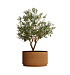 Кашпо CONCRETIKA CYLINDER XL EROSIA OCHRE D70H45 заказать и купить с доставкой из магазина производителя Конкретика по цене 35 710 руб.