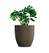 Кашпо CONCRETIKA VASE 3 OLIVE D75H82 заказать и купить с доставкой из магазина производителя Конкретика по цене 50 560 руб.