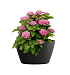 Кашпо CONCRETIKA BOWL NERO D52H29 заказать и купить с доставкой из магазина производителя Конкретика по цене 11 090 руб.