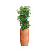 Кашпо CONCRETIKA CIGAR RED CLAY D37H78 заказать и купить с доставкой из магазина производителя Конкретика по цене 24 560 руб.
