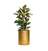 Кашпо CONCRETIKA CYLINDER RICH GOLD D50H65 заказать и купить с доставкой из магазина производителя Конкретика по цене 31 890 руб.