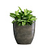 Кашпо CONCRETIKA VASE 3 BREZENT GREY D30H32 заказать и купить с доставкой из магазина производителя Конкретика по цене 11 180 руб.