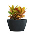 Кашпо CONCRETIKA BOWL ANTHRACITE D80H45 заказать и купить с доставкой из магазина производителя Конкретика по цене 34 600 руб.