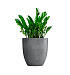 Кашпо CONCRETIKA VASE 3 SMOKEY BLUE D60H65 заказать и купить с доставкой из магазина производителя Конкретика по цене 40 880 руб.