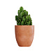 Кашпо CONCRETIKA VASE 3 RED CLAY D50H55 заказать и купить с доставкой из магазина производителя Конкретика по цене 22 550 руб.