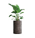 Кашпо CONCRETIKA CYLINDER TAUPE CONCRETE D60H90 заказать и купить с доставкой из магазина производителя Конкретика по цене 63 200 руб.