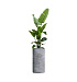 Кашпо CONCRETIKA CYLINDER CONCRETE GREY LIGHT D40H80 заказать и купить с доставкой из магазина производителя Конкретика по цене 27 550 руб.