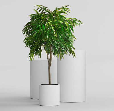 Кашпо CONCRETIKA CYLINDER SANTORINI D60H90 заказать и купить Кашпо CONCRETIKA CYLINDER SANTORINI D60H90 заказать и купить по цене 52 670 руб ниже рынка от производителя с доставкой.