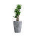 Кашпо CONCRETIKA CONUS CONCRETE GREY LIGHT D50H69 заказать и купить с доставкой из магазина производителя Конкретика по цене 35 120 руб.