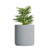 Кашпо CONCRETIKA CYLINDER XL EROSIA WHITE D100H105 заказать и купить с доставкой из магазина производителя Конкретика по цене 103 290 руб.