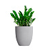 Кашпо CONCRETIKA VASE 3 SHALE D60H65 заказать и купить с доставкой из магазина производителя Конкретика по цене 34 050 руб.