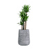 Кашпо CONCRETIKA CONE CONCRETE GREY LIGHT D38H60 заказать и купить с доставкой из магазина производителя Конкретика по цене 25 280 руб.