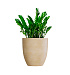 Кашпо CONCRETIKA VASE 3 LEMON D60H65 заказать и купить с доставкой из магазина производителя Конкретика по цене 38 510 руб.
