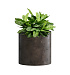 Кашпо CONCRETIKA CYLINDER TAUPE CONCRETE D30H30 заказать и купить с доставкой из магазина производителя Конкретика по цене 10 640 руб.