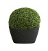 Кашпо CONCRETIKA BOWL EGG BLACK D65H36 заказать и купить с доставкой из магазина производителя Конкретика по цене 16 630 руб.