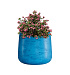 Кашпо CONCRETIKA CONE COBALT BLUE D24H26 заказать и купить с доставкой из магазина производителя Конкретика по цене 6 270 руб.