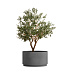 Кашпо CONCRETIKA CYLINDER XL LONDON GREY D70H45 заказать и купить с доставкой из магазина производителя Конкретика по цене 31 050 руб.