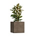Кашпо CONCRETIKA CUBE SMOKEY GREY 70x70x70 заказать и купить с доставкой из магазина производителя Конкретика по цене 65 740 руб.