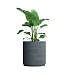 Кашпо CONCRETIKA CYLINDER XL EROSIA GREY D80H85 заказать и купить с доставкой из магазина производителя Конкретика по цене 67 590 руб.