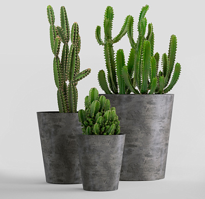 Кашпо CONCRETIKA CRATER CONCRETE GREY DARK D50H75 заказать и купить по цене 30 600 руб ниже рынка от производителя с доставкой.