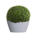 Кашпо CONCRETIKA BOWL EROSIA WHITE D65H36 заказать и купить с доставкой из магазина производителя Конкретика по цене 19 130 руб.
