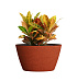 Кашпо CONCRETIKA BOWL EROSIA CORAL D80H45 заказать и купить с доставкой из магазина производителя Конкретика по цене 33 150 руб.