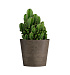 Кашпо CONCRETIKA CRATER SMOKEY GREY D40H35 заказать и купить с доставкой из магазина производителя Конкретика по цене 11 970 руб.