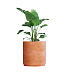 Кашпо CONCRETIKA CYLINDER XL RED CLAY D80H85 заказать и купить с доставкой из магазина производителя Конкретика по цене 66 400 руб.