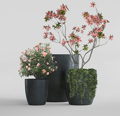 Кашпо CONCRETIKA VASE 3 ANTHRACITE D60H65 заказать и купить Кашпо CONCRETIKA VASE 3 ANTHRACITE D60H65 заказать и купить по цене 40 880 руб ниже рынка от производителя с доставкой.