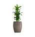 Кашпо CONCRETIKA OVAL SMOKEY GREY D45H66 заказать и купить с доставкой из магазина производителя Конкретика по цене 27 940 руб.