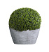 Кашпо CONCRETIKA BOWL CONCRETE GREY LIGHT D65H36 заказать и купить с доставкой из магазина производителя Конкретика по цене 19 960 руб.