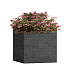 Кашпо CONCRETIKA CUBE EROSIA BLACK 30x30x30 заказать и купить с доставкой из магазина производителя Конкретика по цене 11 480 руб.